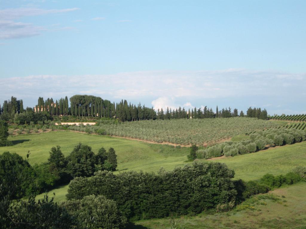 Agriturismo Vitalba Villa Montopoli in Val dʼArno Exterior foto